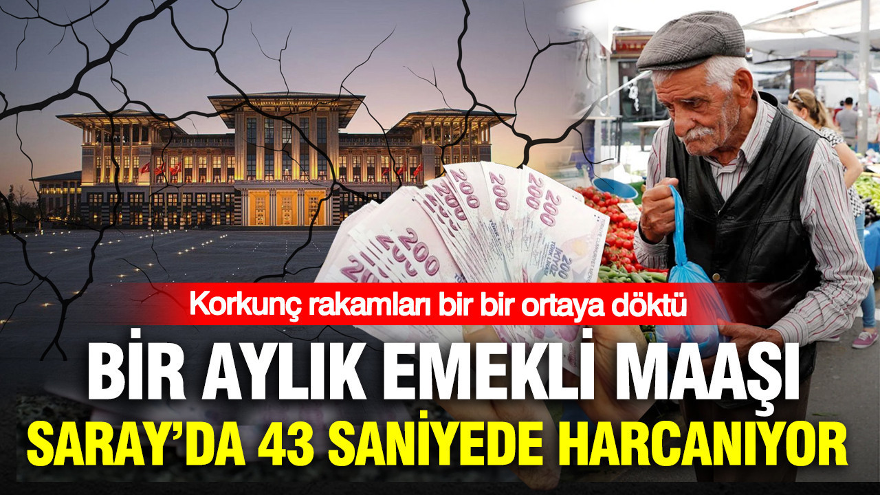 Korkunc rakamlari bir bir ortaya doktu bir aylik emekli maasi sarayda 43 saniyede harcaniyor NdeLcbnx